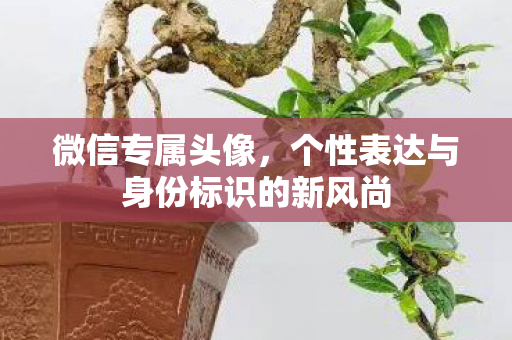 个性表达与身份标识的新风尚图片