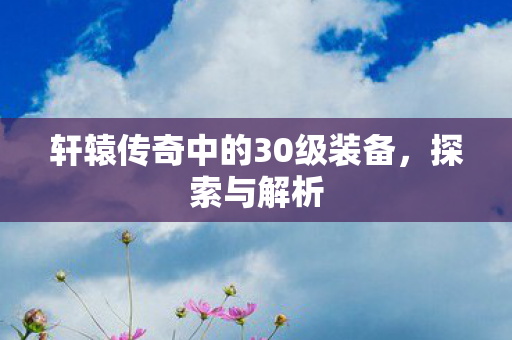 轩辕传奇中的30级装备图片