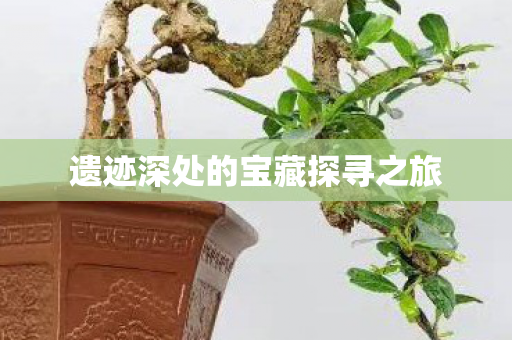 遗迹深处的宝藏探寻之旅图片