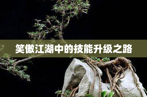 笑傲江湖中的技能升级之路图片