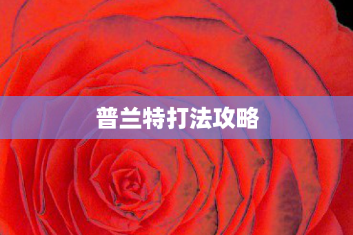 普兰特打法攻略图片