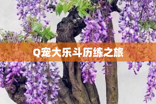 Q宠大乐斗历练之旅图片