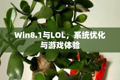 系统优化与游戏体验图片