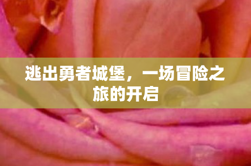 一场冒险之旅的开启图片