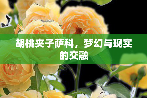 梦幻与现实的交融图片