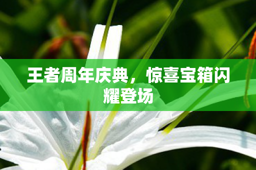 惊喜宝箱闪耀登场图片