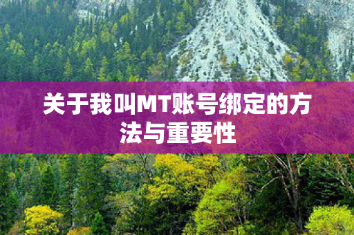 关于我叫MT账号绑定的方法与重要性图片