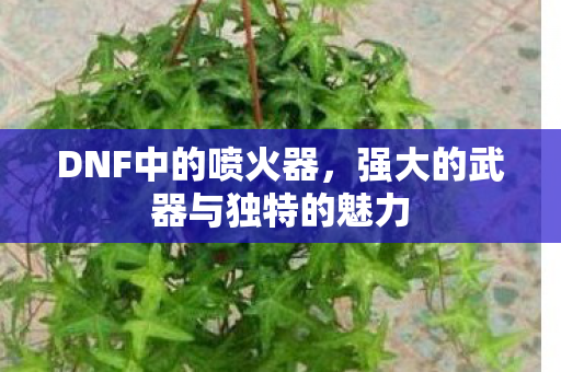 强大的武器与独特的魅力图片