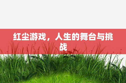 人生的舞台与挑战图片