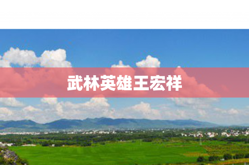 武林英雄王宏祥图片