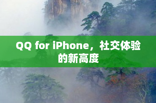 QQ for iPhone图片