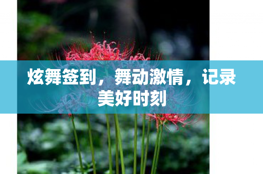 记录美好时刻图片