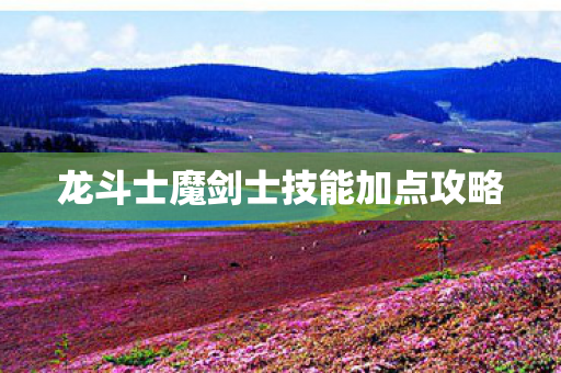 龙斗士魔剑士技能加点攻略图片