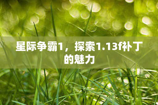 13f补丁的魅力图片