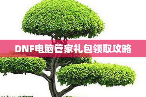 DNF电脑管家礼包领取攻略图片