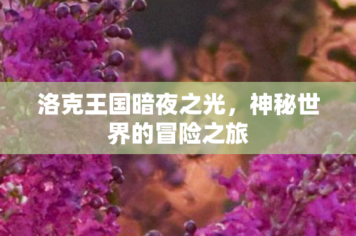 神秘世界的冒险之旅图片
