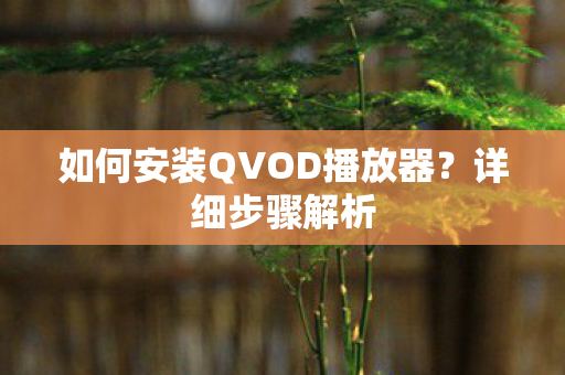 如何安装QVOD播放器图片