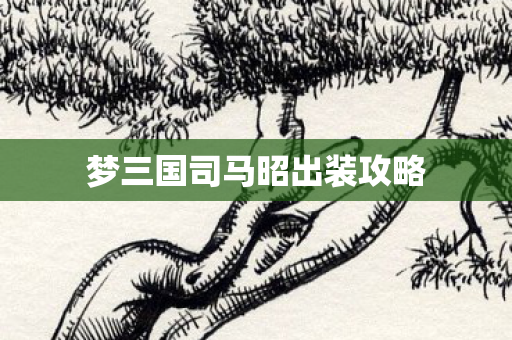 梦三国司马昭出装攻略图片
