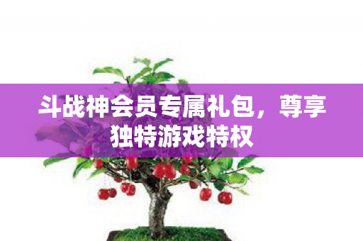 斗战神会员专属礼包图片