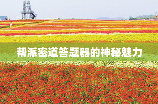 帮派密道答题器的神秘魅力图片