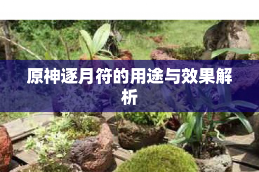 原神逐月符的用途与效果解析图片