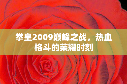 拳皇2009巅峰之战图片