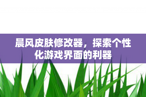 探索个性化游戏界面的利器图片