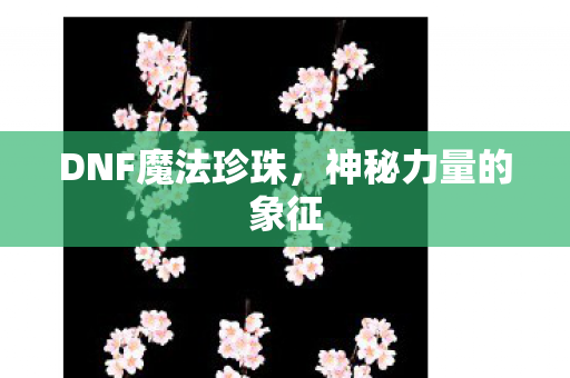 DNF魔法珍珠图片