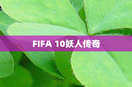 FIFA 10妖人传奇图片