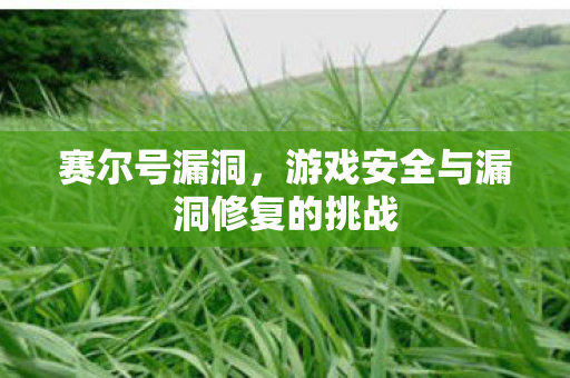 游戏安全与漏洞修复的挑战图片