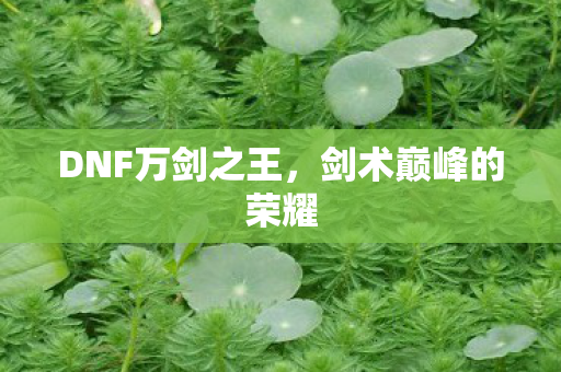 DNF万剑之王图片