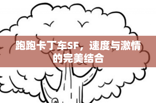 速度与激情的完美结合图片