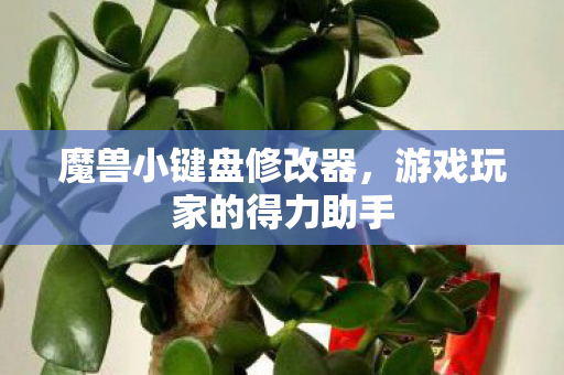 游戏玩家的得力助手图片