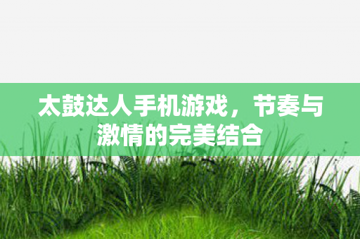 节奏与激情的完美结合图片