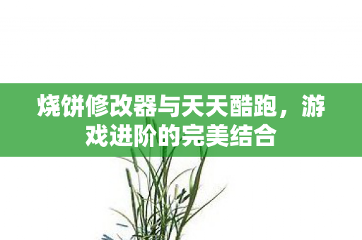 烧饼修改器与天天酷跑图片