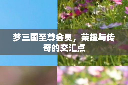 荣耀与传奇的交汇点图片