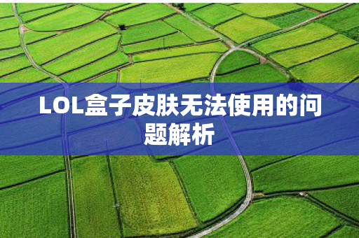 LOL盒子皮肤无法使用的问题解析图片