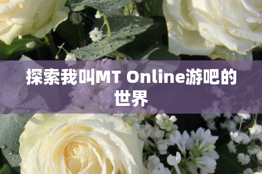 探索我叫MT Online游吧的世界图片