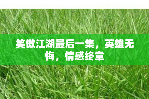 笑傲江湖最后一集图片