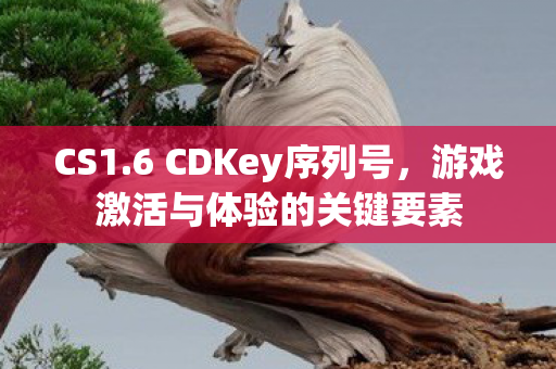 游戏激活与体验的关键要素图片