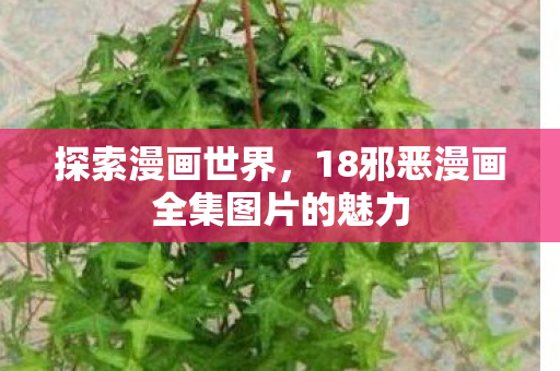 18邪恶漫画全集图片的魅力图片