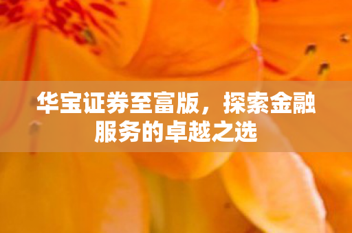 探索金融服务的卓越之选图片