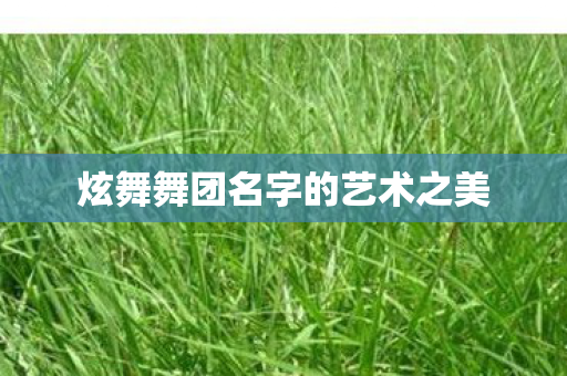 炫舞舞团名字的艺术之美图片