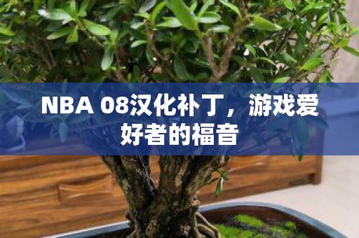 NBA 08汉化补丁图片