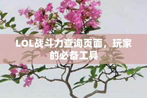 LOL战斗力查询页面图片