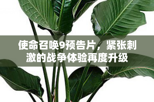 紧张刺激的战争体验再度升级图片