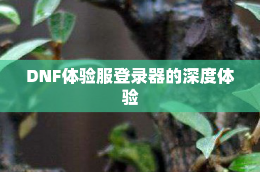 DNF体验服登录器的深度体验图片