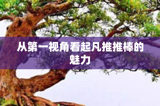 从第一视角看起凡推推棒的魅力图片