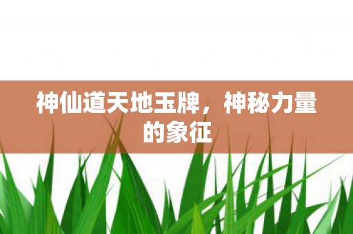 神仙道天地玉牌图片