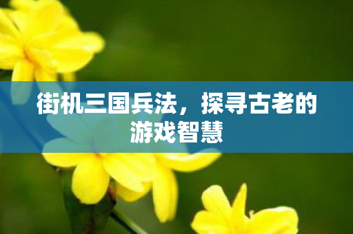 探寻古老的游戏智慧图片